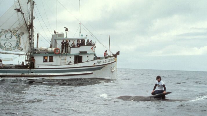 Paul Watson on Killed Whale