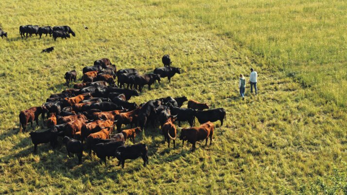 (L to R) Paula Schwartau and Benedikt Bösel in Farm Rebellion.