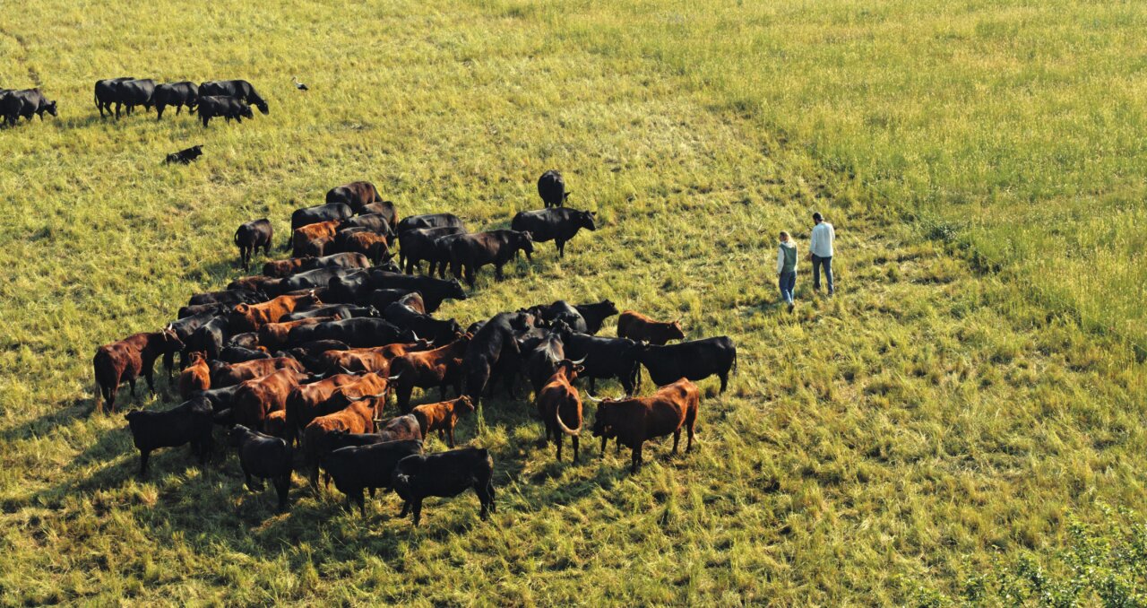 (L to R) Paula Schwartau and Benedikt Bösel in Farm Rebellion. (L to R) Paula Schwartau and Benedikt Bösel in Farm Rebellion.