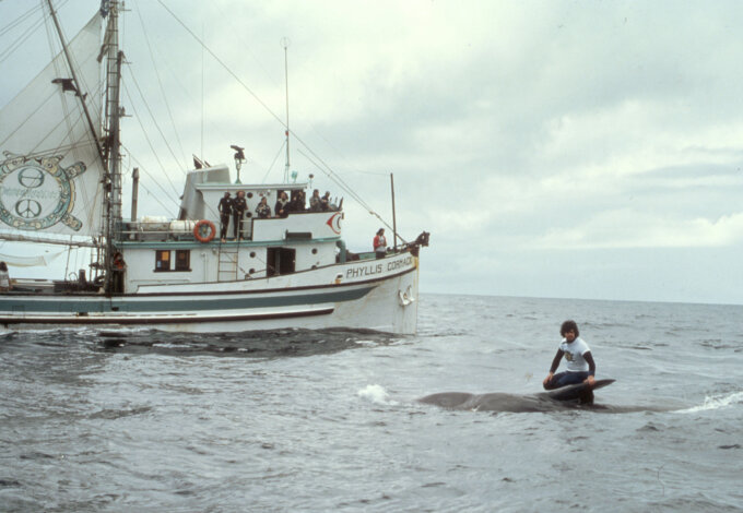 Paul Watson on Killed Whale