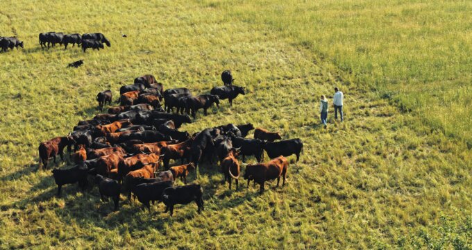 (L to R) Paula Schwartau and Benedikt Bösel in Farm Rebellion.